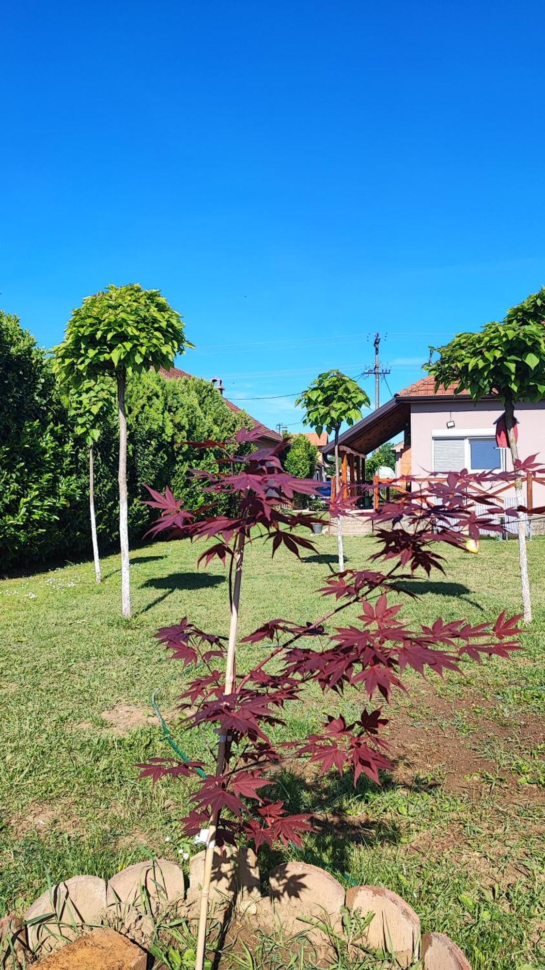 Villa Kucerak U Sremu